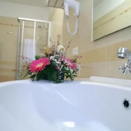 Ai Dogi Hotel Palmanova